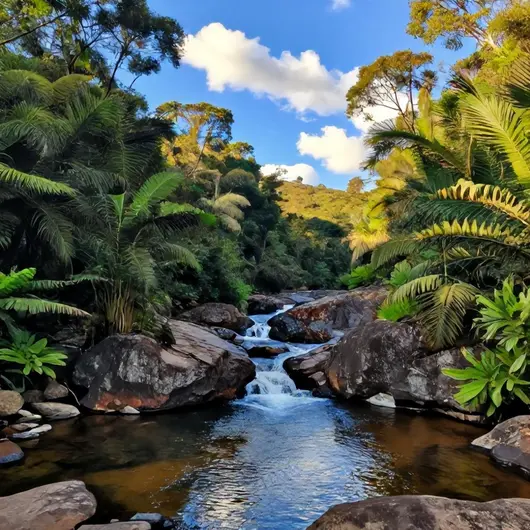 Cachoeira do Abade: Um Refúgio Natural em Goiás