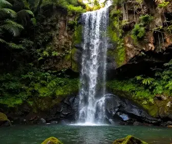 Cachoeira do Rosário: Um Paraíso Natural em Goiás Cachoeira do Rosário: Um Paraíso Natural em Goiás