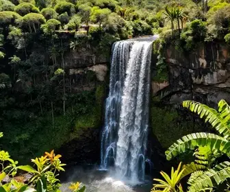 Cachoeira Santa Bárbara: um paraíso natural em Goiás