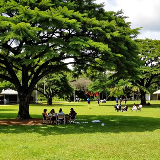 Clube Oásis Clube Oásis