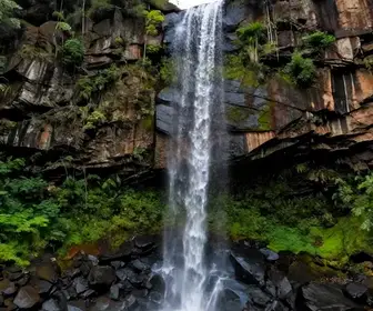 Descubra a Beleza da Cachoeira do Label em Goiás Descubra a Beleza da Cachoeira do Label em Goiás