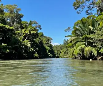 Descubra as Encantadoras Praias do Rio Araguaia em Goiás