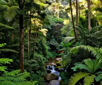 Descubra as Melhores Trilhas em Formosa, Goiás