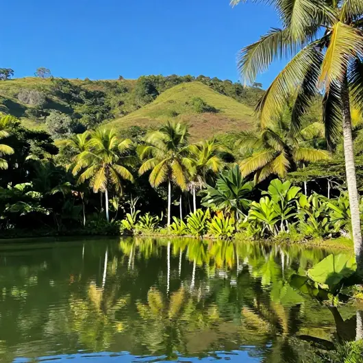 Descubra o Caribe Goiano