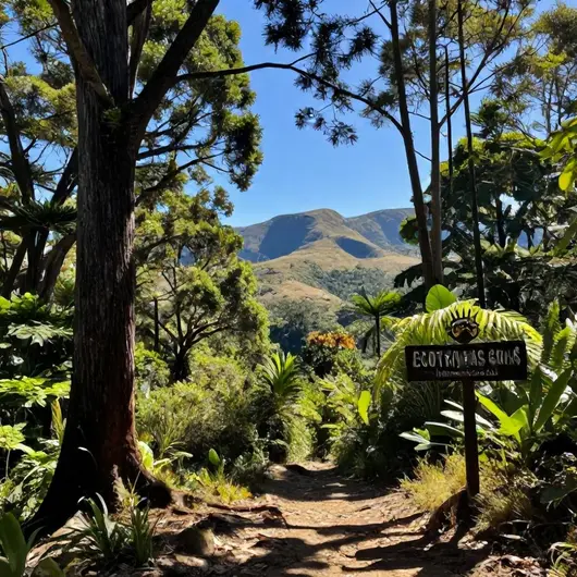 Descubra o ECOTRILHAS GOIÁS Internacional Descubra o ECOTRILHAS GOIÁS Internacional