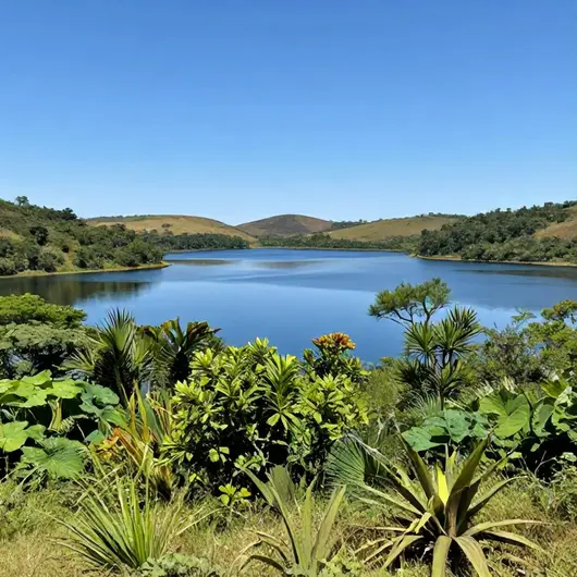 Descubra o Lago Santa Bárbara