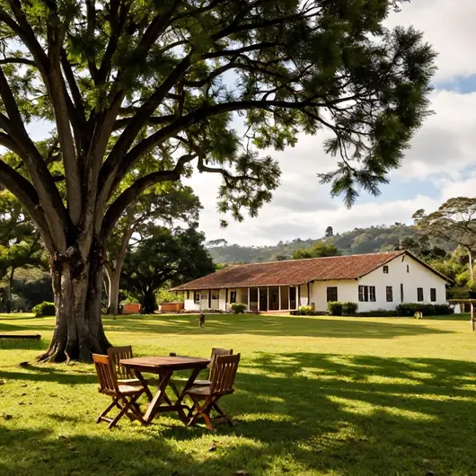 Descubra o Manduzanzan Hotel Fazenda