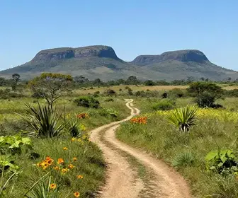 Descubra o Parque Nacional das Emas: Natureza e Aventura em Goiás Descubra o Parque Nacional das Emas: Natureza e Aventura em Goiás