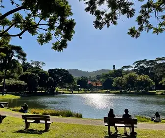 Descubra o Parque Vaca Brava: Um Oasis em Goiás Descubra o Parque Vaca Brava: Um Oasis em Goiás