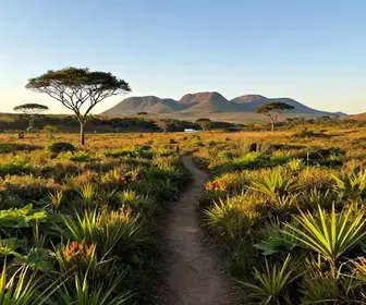 Descubra os Encantos do Planalto Central em Goiás Descubra os Encantos do Planalto Central em Goiás