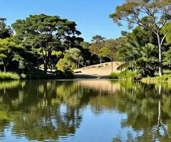 Descubra os Melhores Lagos para Turismo em Goiás Descubra os Melhores Lagos para Turismo em Goiás