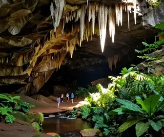 Explorando a Caverna Terra Ronca II: Um Paraíso Natural em Goiás Explorando a Caverna Terra Ronca II: Um Paraíso Natural em Goiás