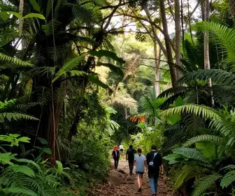 Explorando as Trilhas de Mambaí: Natureza e Aventura em Goiás Explorando as Trilhas de Mambaí: Natureza e Aventura em Goiás