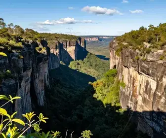 Explorando o Buraco das Araras em Formosa – Uma Joia Natural de Goiás Explorando o Buraco das Araras em Formosa - Uma Joia Natural de Goiás