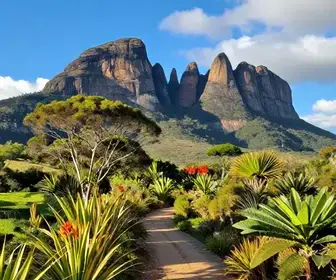 Explore o Parque Estadual da Serra Dourada: Natureza e Aventura em Goiás