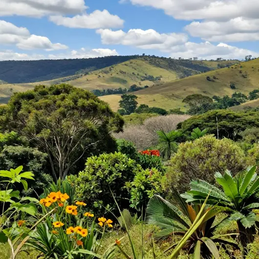 Reserva Ecológica Vargem Grande: Um Refúgio Natural em Goiás